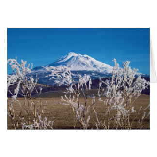 La nature parle l'image de couverture de livre