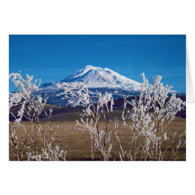 La nature parle l'image de couverture de livre (Devant horizontal)