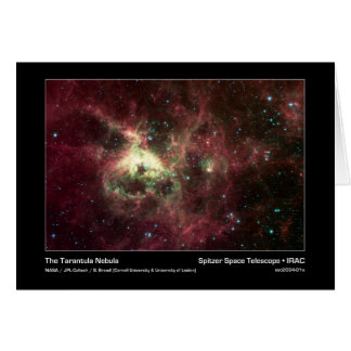 La Nébuleuse de Tarantula - Télescope Spitzer - I