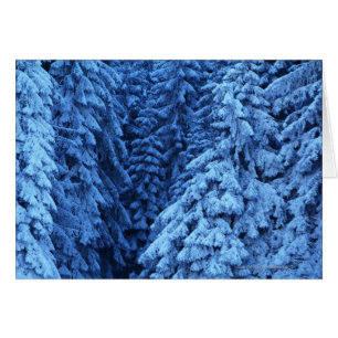 la neige a couvert des arbres