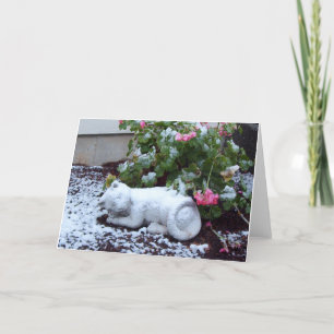 La neige a couvert la carte de chat