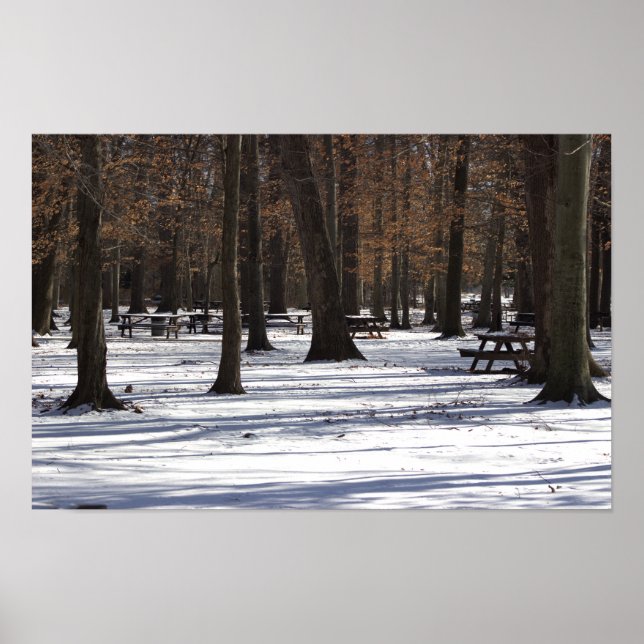 La neige dans le parc Poster (Devant)