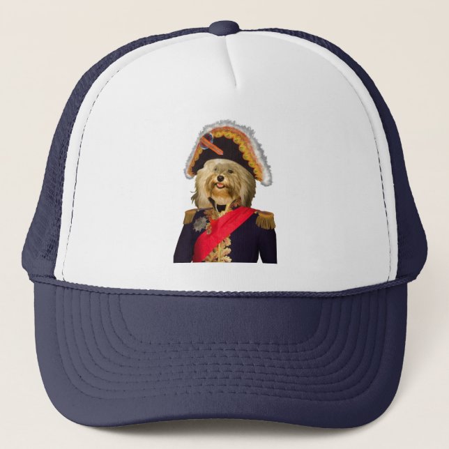 La noblesse de casquette de Havanese poursuit le (Devant)