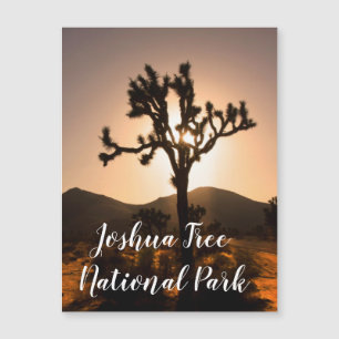 La nuit commence à Joshua Tree Magnet