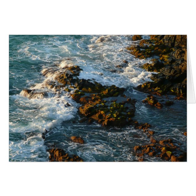 Là où l'océan rencontre les rochers (Devant horizontal)