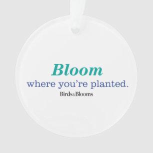 Là où vous êtes plantés