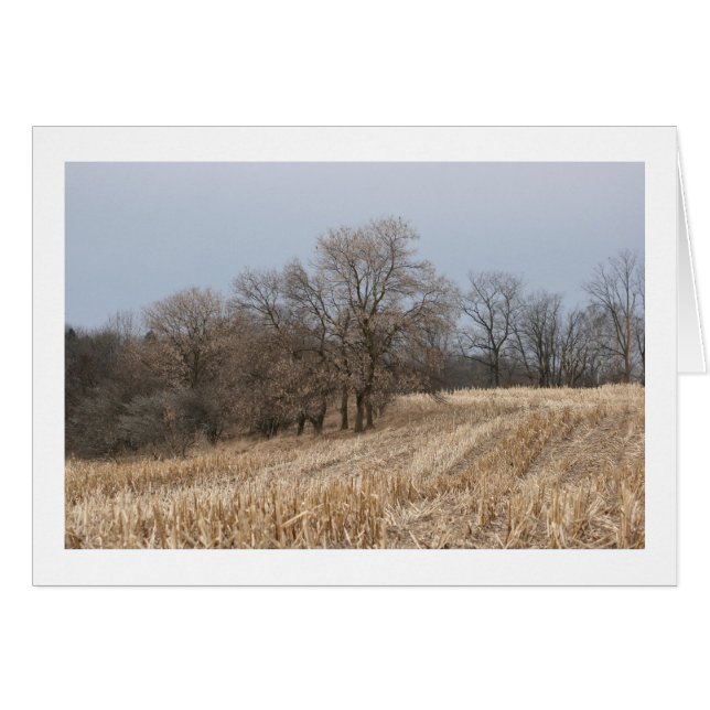 La paille met en place les cartes vierges (Devant horizontal)