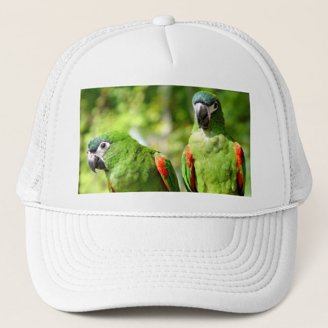 La paire de vert Parrots le casquette (Devant)