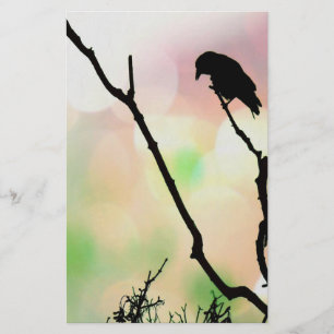 La papeterie Lonely Crow
