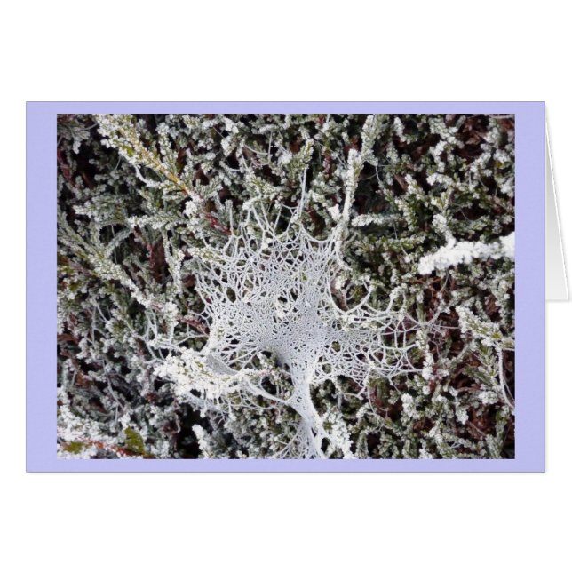 La parole du Titania (Devant horizontal)