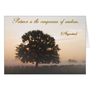La patience est le compagnon de la sagesse
