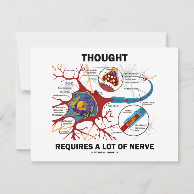 La Pensée Requiert Beaucoup De Nerve (Synapse) (Devant)