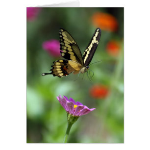 La personne qui monte