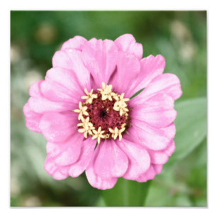 La photo de beauté de Johann