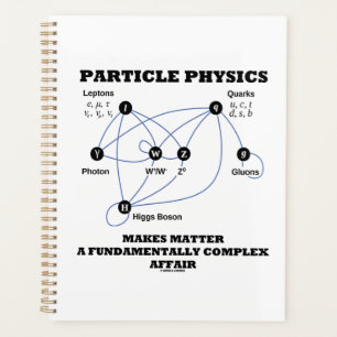 La Physique Des Particules Fait De La Matière Une