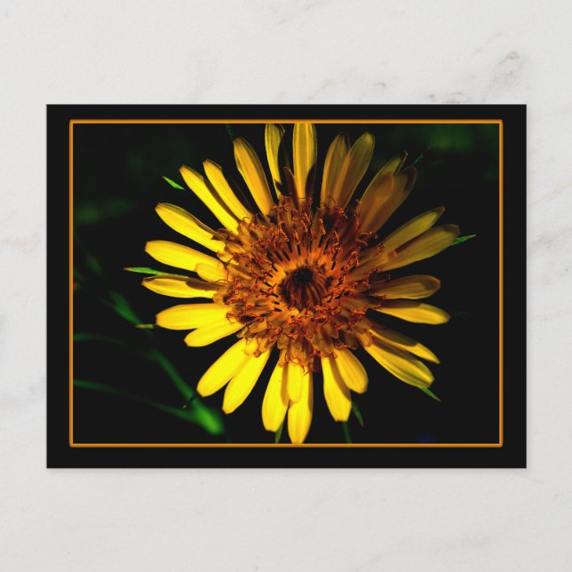 La place de la carte postale (Devant)