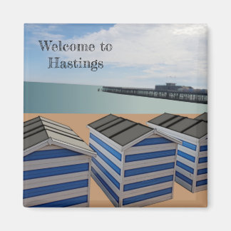 La plage de Hastings Fridge Magnet