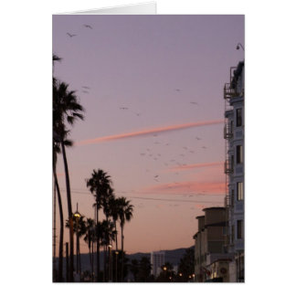 La plage de Venise
