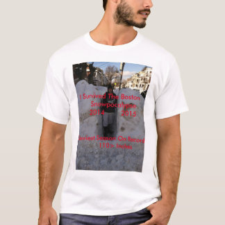 La plus mauvaise neige dans le T-shirt de Boston