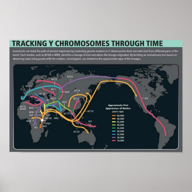 La première affiche de migration (Devant)
