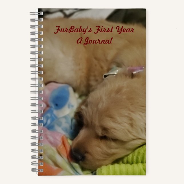 La première année de FurBaby, un journal (Recto)