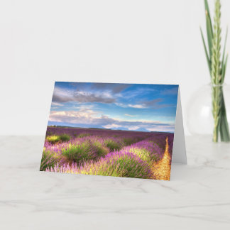 La Provence - la lavande met en place la carte de