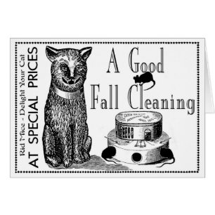 LA PUBLICITÉ GRAPHIQUE ORIGINALE DE LA "SOURIS