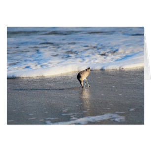 La recherche intéressante de Willet