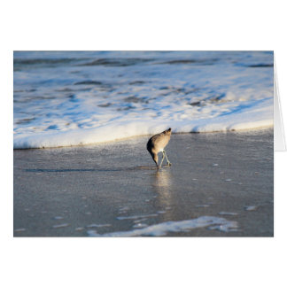 La recherche intéressante de Willet