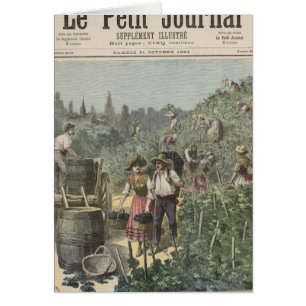 La récolte de vin