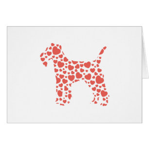 La région des lacs Terrier