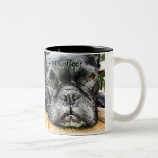 La Reine FiFi a obtenu la tasse de café