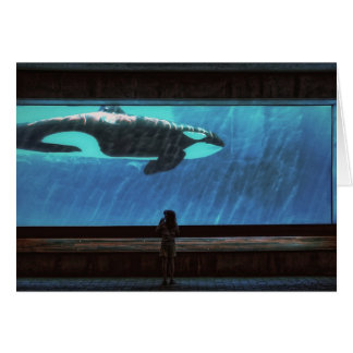 Code promo marineland rencontre avec les dauphins