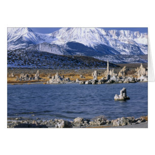 LA RÉSERVE NATURELLE DE MONO LAKE TUFA,