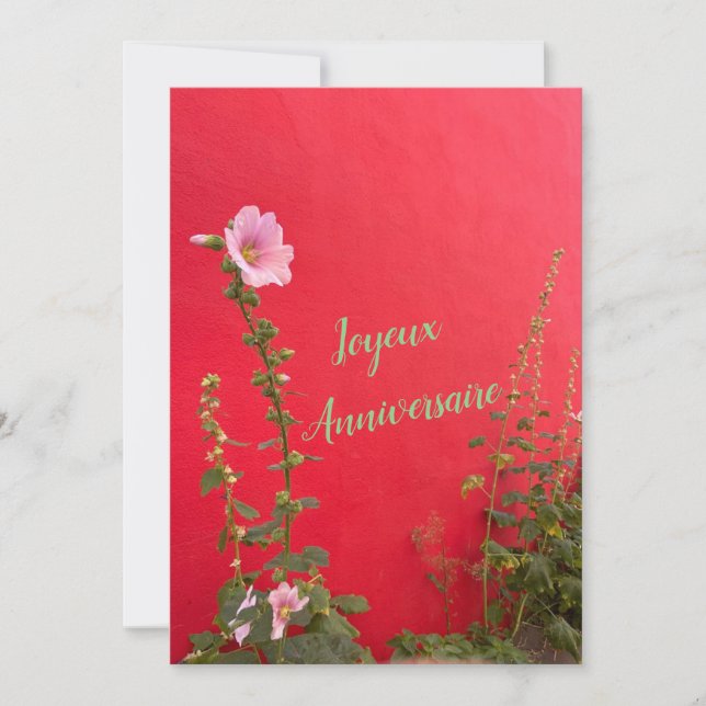 La rose trémière  (Devant)