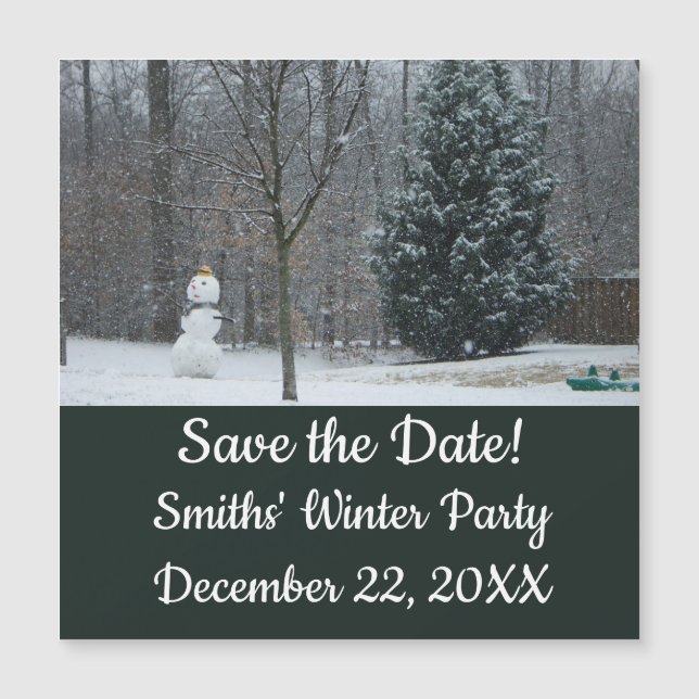 La scène de neige hivernale du voisin (Devant)