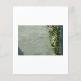 La série capture le coeur de la rue et de la rue d