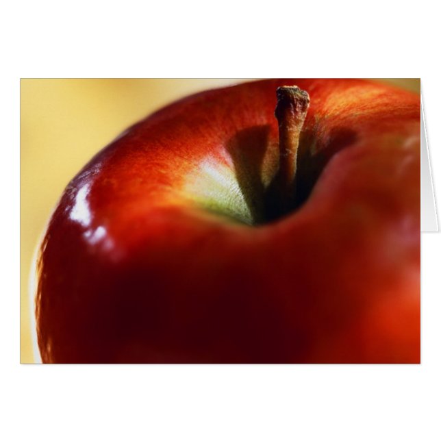 LA SUPRÉMATIE DES FEMMES A COMMENCÉ AVEC LA VEILLE (Devant horizontal)