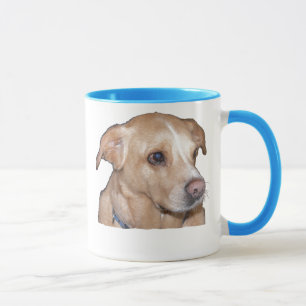 La tasse de Bentley