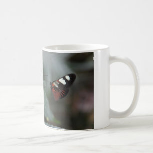 la tasse de café avec 2 papillons… viennent
