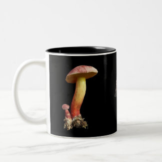La tasse de l'amant de champignon