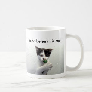 La tasse de lolcat de Kiko "a obtenu à la bobine