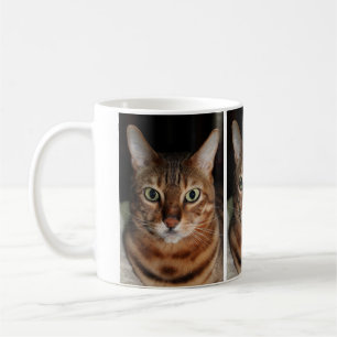 La tasse de photo de chat de regarder Bengale,