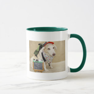 La tasse du professeur