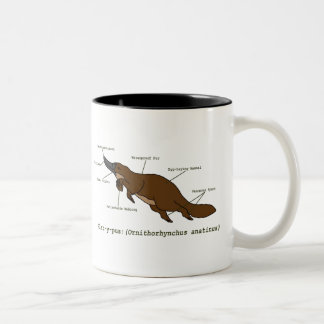 La tasse extraordinaire d'ornithorynque
