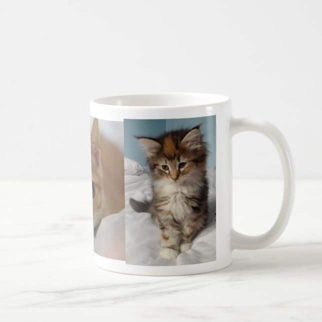La tasse la plus mignonne (Droite)