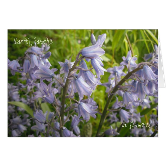 La Terre Rire En Fleurs - Carte Vierge (Devant horizontal)
