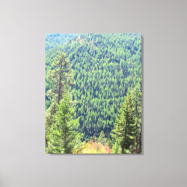 La Toile Enveloppée De La Forêt (Recto)