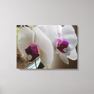 LA toile ORCHID BLANCHE