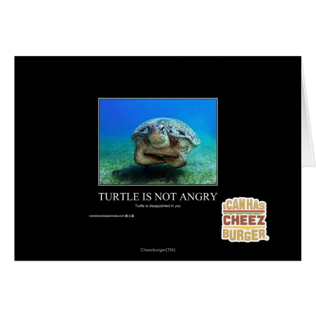 La tortue n'est pas en colère (Devant horizontal)